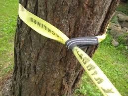 acheter Ceinture de marche en polyester pour les sports de plein air online manufacture