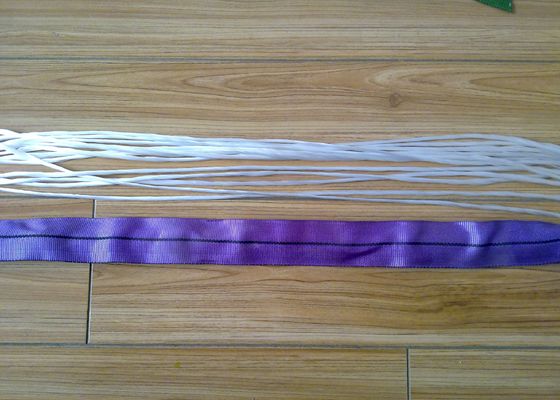 acheter Produits de levage Polyester 90000Lb ceinture de frein ronde résistant à l'usure online manufacture