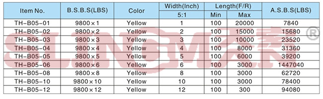 Wstda Label Élingues en sangle plate en polyester WSTDA-1- HP / ASME B30.9 / NAVFAC ...